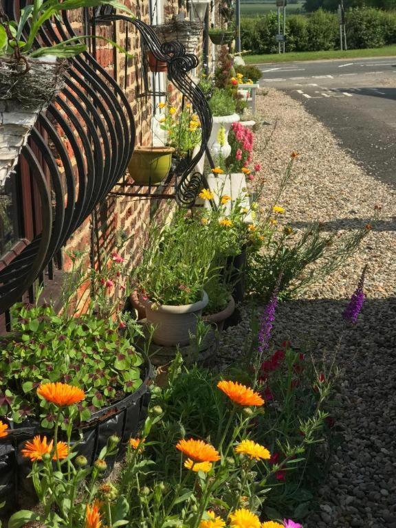 Oyo Yarm Cottages Kirklevington 외부 사진
